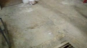 Быстрый осмотр ИТП. Течь насоса ГВС.