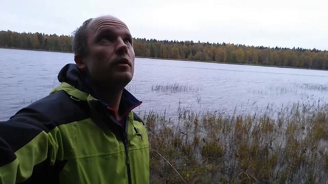 Почему листопад? Нужно ли убирать опавшие листья в парках города? смотреть онлайн