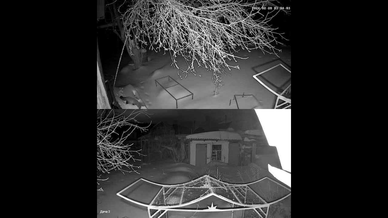 Куница 3 смотреть онлайн