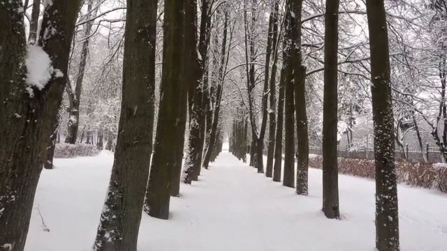 Парк Челюскинцев в Минске в зимний день (Беларусь) смотреть онлайн
