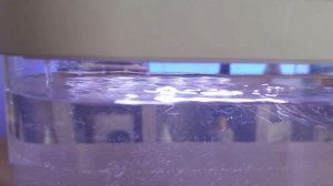 Аквариум Xiaomi Eco Fish Tank с функцией выращивания растений С100 10 Литров