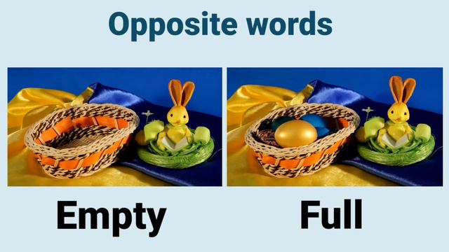 Opposite words in English. Opposite words for preschoolers/kids. Educational video. Antonym for kid