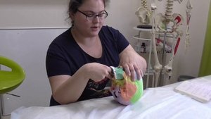 Техника освобождения верхнего небно-верхнечелюстного шва