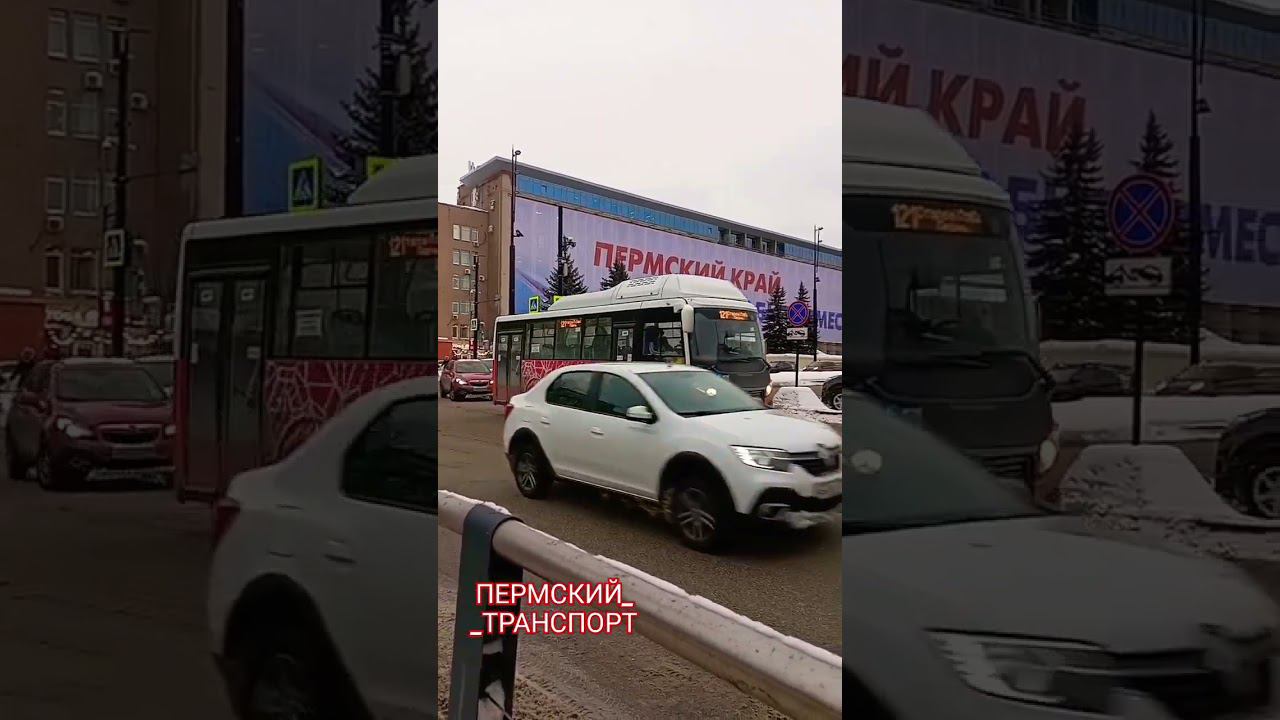 121 теперь как все #пермскийтранспорт #пермькрасивая #пермь #bus #автобус #паз