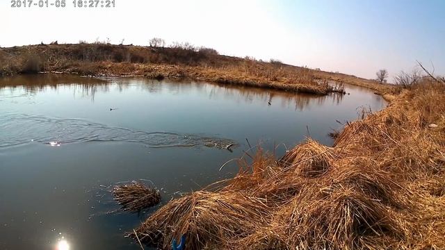 Весенняя Рыбалка на поплавок! Болонская снасть!