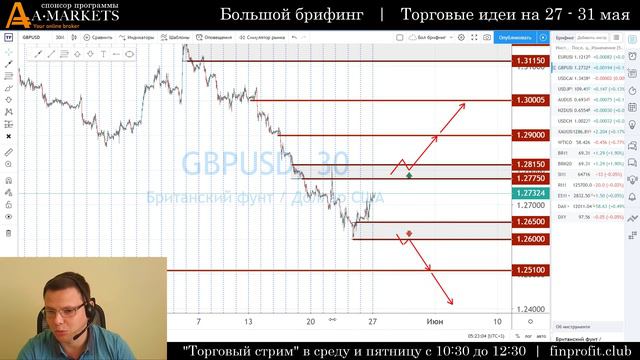 Большой брифинг | 27 - 31 мая | Анализ и прогноз рынка FOREX, FORTS, ФР смотреть онлайн