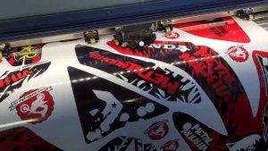 Печать с контурной резкой на Roland vs640i