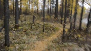 Речка Чара.