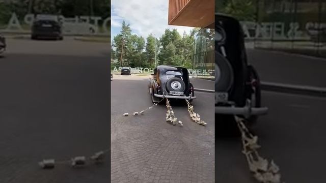 Ермолаева Нелли
