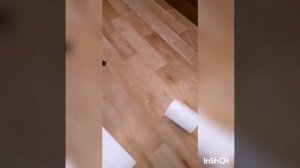 Увеличиваем мощность мопеда Мини-Рига с двигателем V-50.