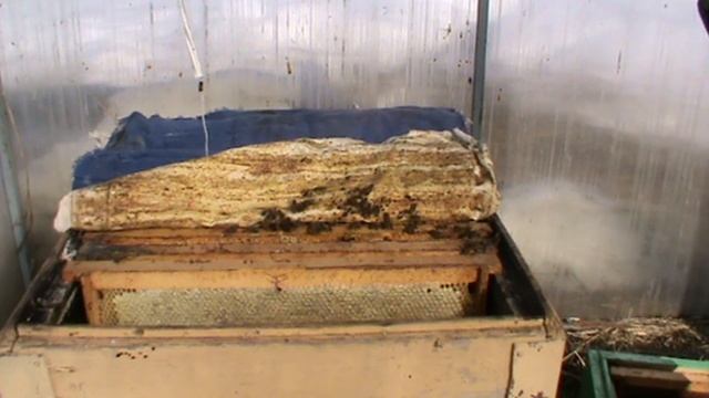 Дымом потянуло с нотами в цифрах смотреть онлайн