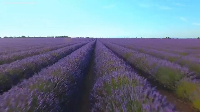 Утренняя расслабляющая музыка - Спокойное фортепиано для снятия стресса - Успокаивающие звуки воды смотреть онлайн