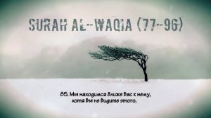 Коран. Сура  аль-Вакиа  (77-96).