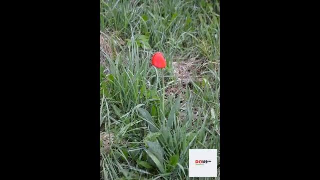 Крепкий бревенчатый дом в Егорьевском районе в... смотреть онлайн