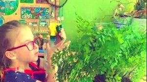 Уголок природы в средней группе №12