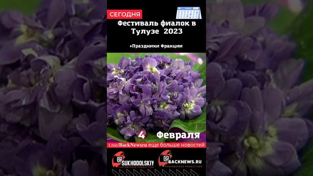 Сегодня, 4 ФЕВРАЛЯ, Фестиваль фиалок в Тулузе  2023