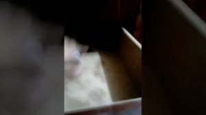 Отдыхаю в санаторий гай