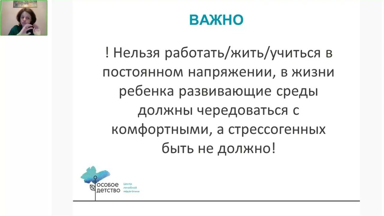 Использование средового подхода в работе с детьми с нарушениями развития эмоционально волевой сферы