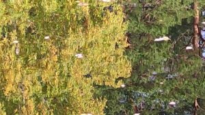 Челябинск.Бывают пейзажи, от которых любой смертный хоть на миг, но почувствует себя богом 26.09.20