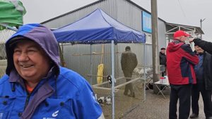 Голуби цены Птичий рынок г Пятигорск