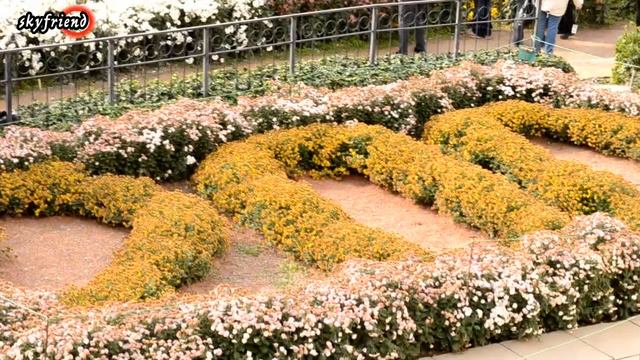 бал хризонтем 2012 skyfriend смотреть онлайн