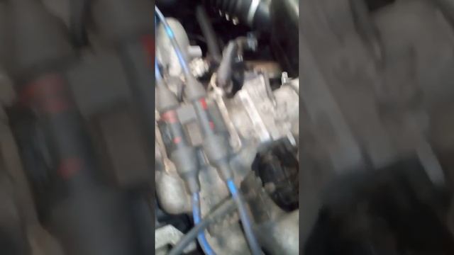 Дымогенератор за копейки.