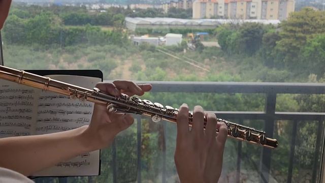 G.Gariboldi Études Op. 131- 18/ D Major 가리볼디 에뛰드/ 플루티스트 차지훈 [Chaflute] смотреть онлайн