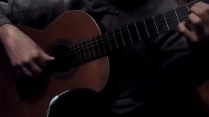 Распрягайте хлопцы коней (укр.нар.песня)