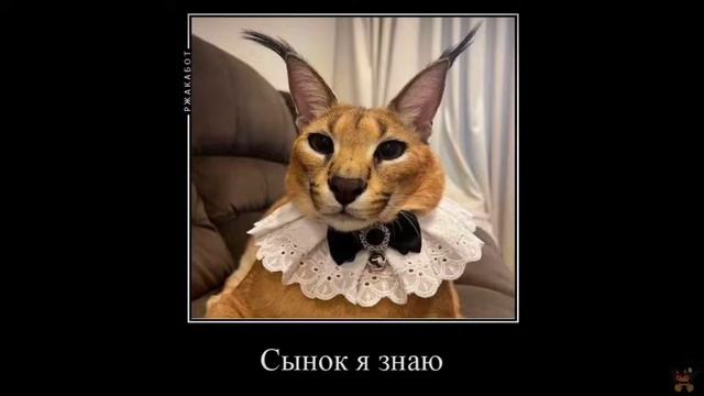 почему не устанавливается обновление в..