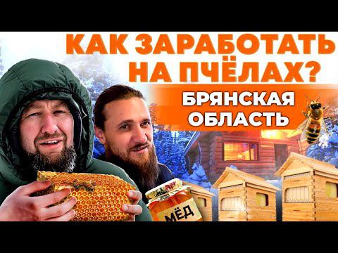 Пчеловодство в Брянской области | Пчелы, мёд и прибыль | Андрей Даниленко