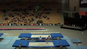 UEYAMA Yasuhiro (JPN) - 2015 Trampoline Worlds - Qualification TR Routine 2