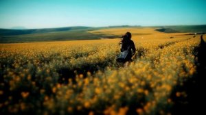 Какие бывают женщины ведьмы, как их распознать и чего от них ожидать.