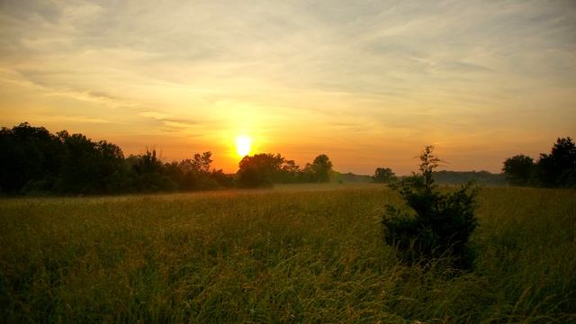 Wonder music - Engineering смотреть онлайн