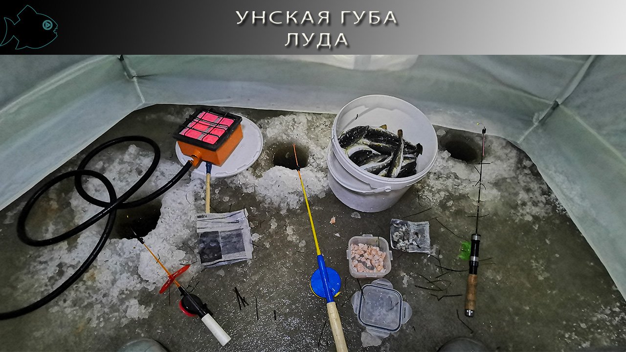 Старт сезона зимней рыбалки в Луде! Ночная рыбалка . Испытал пол в палатке Лотос 3