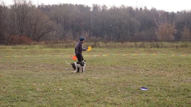 Frisbee Battle Хантер vs Барс.mp4