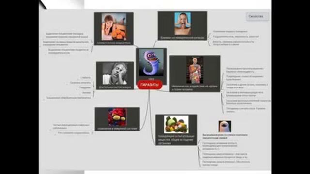 Коралловый Клуб Как управлять своим здоровьем Концепция смотреть онлайн