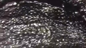 Hyundai Solaris жидкие локеры. Никакой коррозии и тишина в салоне - превосходный результат