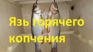 Язь горячего копчения