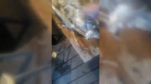 Шпарчан- лучший помощник птицевода. Как легко ощипать гуся, утку, индюка или бройлера.