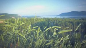 Фолк-группа «Кумовья» - Ах, ночь, голубая ночь! (2018)