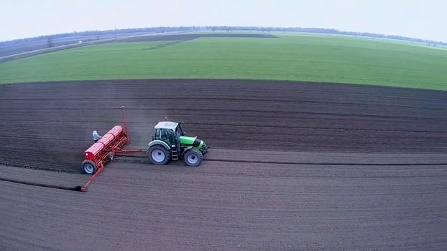 Посев гороха Саламанка 30 марта 2019