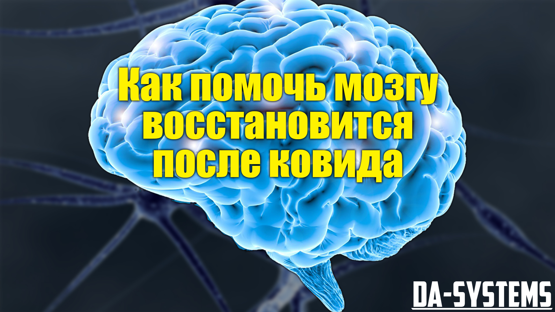 Чем помочь мозгу. Форма мозга человека анатомия видео.