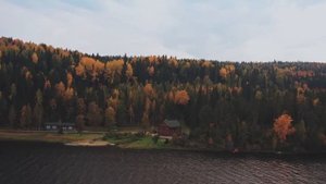 Богач, простившись с угасающей дочерью, нехотя брёл из больницы напиться, а едва услышал разговор..