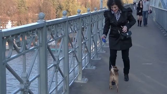 прогулка по фрунзенской набережной с фунтиком (часть 1) смотреть онлайн