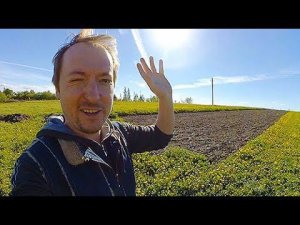 Стоны НЕДОСАДОВОДА. Про посадки, погоду и сизифов труд. Посылка пришла, РОЗА распустилась.