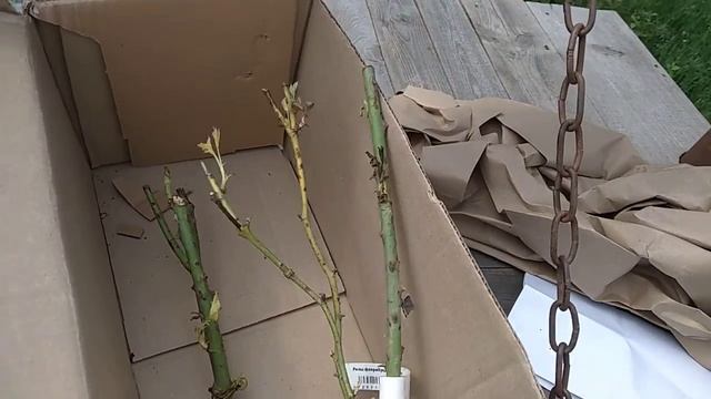 Заказ с Беккер смотреть онлайн