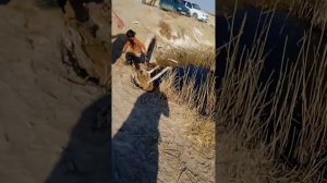 5 февраля 2024 г.Балик ови дустлар билан 1 кисим