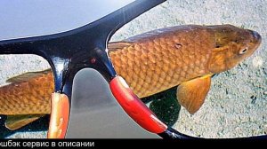 Кормушку с сеткой для ловли рыбы китайскую алиэкспресс