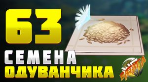 СЕМЕНА ОДУВАНЧИКОВ 63шт Где найти семена одуванчика Геншин импакт