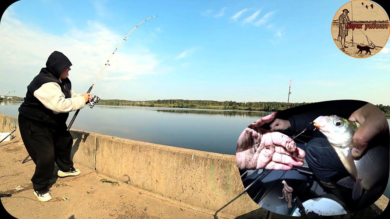 Гарик рыболов видео. Рыбаки на ловле. Донная рыбалка. На что ловить налима. Ловля налима на донку.